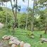  Land for sale at Santikhiri Estate, Na Mueang, Koh Samui, Surat Thani