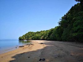  Grundstück zu verkaufen in Ko Yao, Phangnga, Ko Yao Yai, Ko Yao