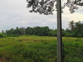  Grundstück zu verkaufen in Ban Pong, Ratchaburi, Nakhon Chum