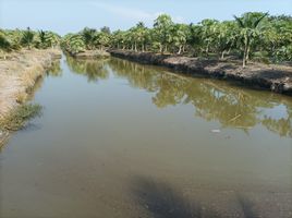  Grundstück zu verkaufen in Khao Yoi, Phetchaburi, Thap Khang, Khao Yoi, Phetchaburi