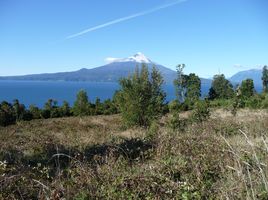  Grundstück zu verkaufen in Llanquihue, Los Lagos, Puerto Varas, Llanquihue