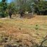  Grundstück zu verkaufen in San Carlos, Panama Oeste, San Jose, San Carlos