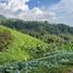 Land for sale in Tawang Mangu, Jawa Tengah, Tawang Mangu, Karanganyar, Jawa Tengah
