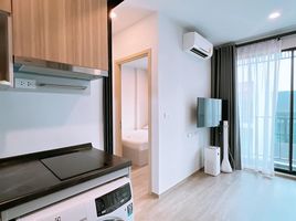 1 Bedroom Apartment for rent at BRIXTON Pet and Play Sukhumvit 107, Bang Na, Bang Na