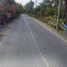  Land for sale in Rawai, Phuket Town, Rawai