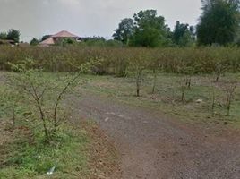  Land for sale in Buri Ram, Nong Ki, Nong Ki, Buri Ram