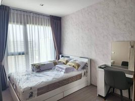 1 Schlafzimmer Wohnung zu vermieten im Life Asoke Hype, Makkasan