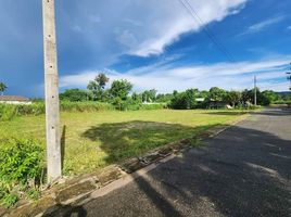  Grundstück zu verkaufen in Sattahip, Chon Buri, Bang Sare