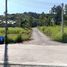 ขายที่ดิน ใน ท้ายเหมือง พังงา, นาเตย, ท้ายเหมือง