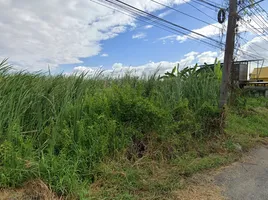 在Khlong Song, Khlong Luang出售的 土地, Khlong Song