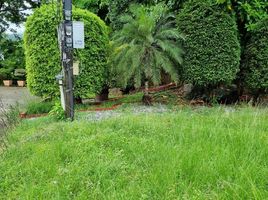  Land for sale in Jungceylon, Patong, Patong