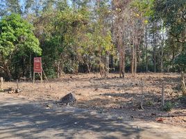  Land for sale in Chiang Mai, Buak Khang, San Kamphaeng, Chiang Mai