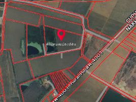  Land for sale in Suphan Buri, Bo Suphan, Song Phi Nong, Suphan Buri