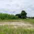  Land for sale in Chiang Mai International Airport, Suthep, Ban Waen