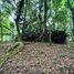  Land for sale in Pococi Limon, Pococi, Limon