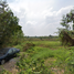  Land for sale in Pathum Thani, Khlong Sam, Khlong Luang, Pathum Thani