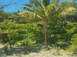  Land for sale in Bay Islands, Guanaja, Bay Islands