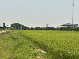  Land for sale in Lamphun, Ban Thi, Ban Thi, Lamphun