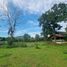  Land for sale in Suphan Buri, Don Kha, U Thong, Suphan Buri