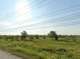  Land for sale in Chaloem Phra Kiat, Nakhon Ratchasima, Phraphut, Chaloem Phra Kiat