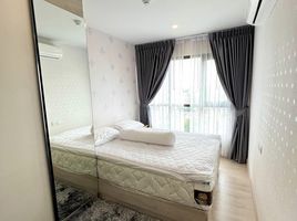 1 Schlafzimmer Wohnung zu verkaufen im Knightsbridge Tiwanon, Talat Khwan
