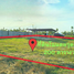  Land for sale in Nong Chumphon, Khao Yoi, Nong Chumphon