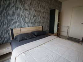 1 Schlafzimmer Wohnung zu verkaufen im Aspire Rattanatibet 2, Bang Kraso, Mueang Nonthaburi, Nonthaburi