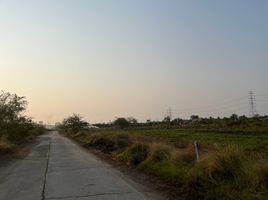  Land for sale in Nakhon Pathom, Sa Si Mum, Kamphaeng Saen, Nakhon Pathom