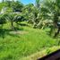  Land for sale in Phuket, Pa Khlok, Thalang, Phuket