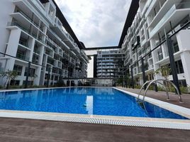 Studio Apartment for sale at Oasis 1, Oasis Residences