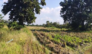 N/A Land for sale in Han Kaeo, Chiang Mai 