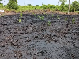  Grundstück zu verkaufen in Mueang Nakhon Nayok, Nakhon Nayok, Phrommani, Mueang Nakhon Nayok