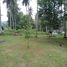  Land for sale in Thalang, Phuket, Pa Khlok, Thalang