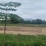  Land for sale in Samran Rat, Doi Saket, Samran Rat