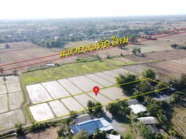  Land for sale in Chiang Mai, Rong Wua Daeng, San Kamphaeng, Chiang Mai