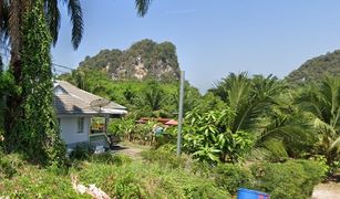 3 Schlafzimmern Haus zu verkaufen in Ao Luek Tai, Krabi 