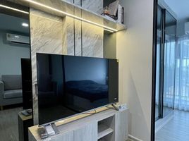 1 Schlafzimmer Appartement zu vermieten im Kave Seed Kaset, Sena Nikhom, Chatuchak, Bangkok