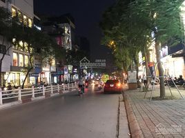 Studio Haus zu verkaufen in Dong Da, Hanoi, Lang Thuong