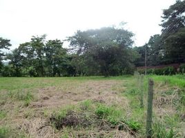  Land for sale in Alajuela, Orotina, Alajuela