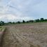  Land for sale in Nong Chang Uthai Thani, Nong Chang, Nong Chang