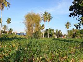  Land for sale in Great&Grand Sweet Destination, Pong, Nong Pla Lai