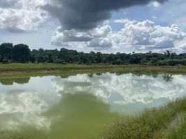  Land for sale in Autazes, Amazonas, Autazes