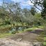 3 Bedroom House for rent in Cartago Cartago, Cartago, Cartago