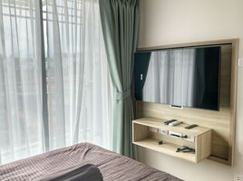 1 Schlafzimmer Appartement zu vermieten im Phyll Phuket by Central Pattana, Wichit, Phuket Town, Phuket