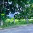  Land for sale in Bang Chalong, Bang Phli, Bang Chalong