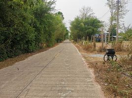  Land for sale in Udon Thani International Airport, Na Di, Na Di