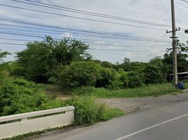  Land for sale in Roeng Rang, Sao Hai, Roeng Rang