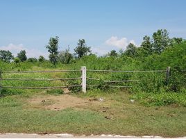  Land for sale in Mueang Lamphun, Lamphun, Si Bua Ban, Mueang Lamphun