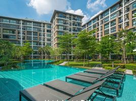 1 Bedroom Condo for rent at Hallmark Ngamwongwan , Bang Khen, Mueang Nonthaburi, Nonthaburi