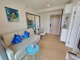 1 Bedroom Condo for rent at Phyll Phuket by Central Pattana, Wichit